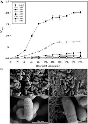 Genomic Insights Into Cadmium Resistance of a Newly Isolated, Plasmid-Free <mark class="highlighted">Cellulomonas</mark> sp. Strain Y8